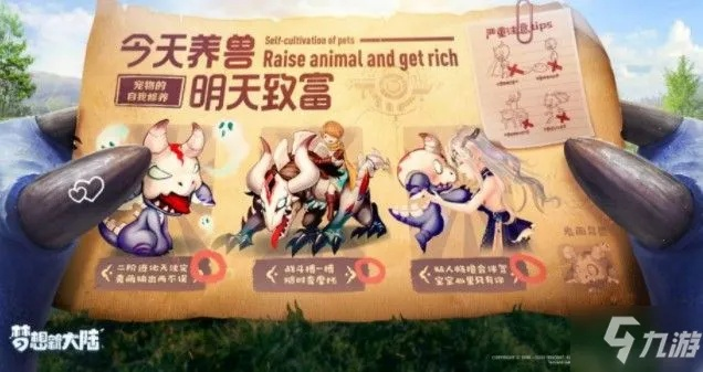 梦想新大陆宠物盘点：热门推荐，助你轻松选心仪宠物