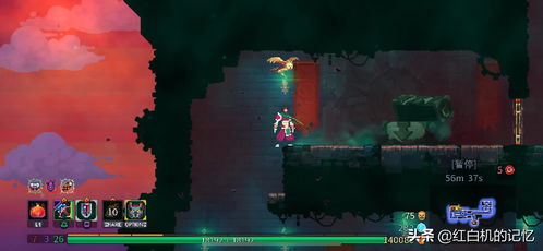 重生细胞手雷实战攻略:掌握高阶技巧,轻松制胜战场 重生细胞手雷实战攻略:掌握高阶技巧,轻松制胜战场