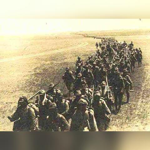 重生细胞手雷盘点:全面汇总及独家解析 重生细胞手雷盘点:全面汇总及独家解析