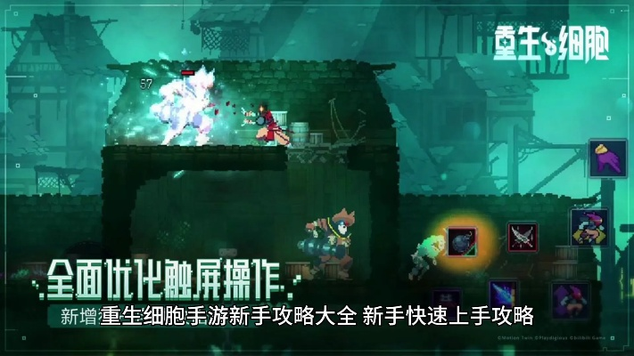 速刷细胞攻略揭秘:重生细胞高效使用技巧大公开 速刷细胞攻略揭秘:重生细胞高效使用技巧大公开