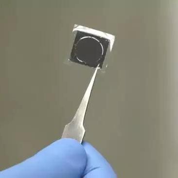 重生细胞变异选什么角色?解锁最强变异角色攻略解析 重生细胞变异选什么角色?解锁最强变异角色攻略解析