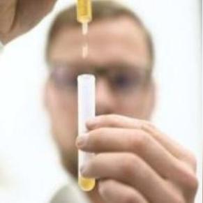 细胞壁垒解析:重生奥秘与独特效果深度揭秘 细胞壁垒解析:重生奥秘与独特效果深度揭秘