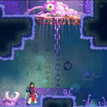 重生细胞蜘蛛符文获取攻略:揭秘高效获取技巧,轻松解锁! 重生细胞蜘蛛符文获取攻略:揭秘高效获取技巧,轻松解锁!