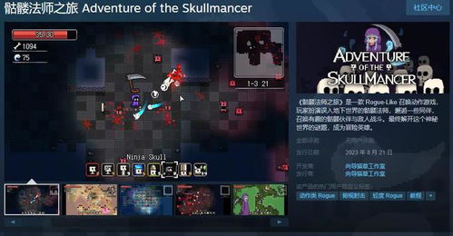 独家推荐：Rogue游戏精选盘点，揭秘最新Rogue游戏玩法攻略