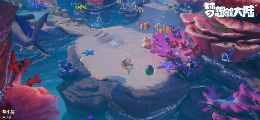梦想新大陆海洋祭坛奇遇攻略：高效完成技巧揭秘