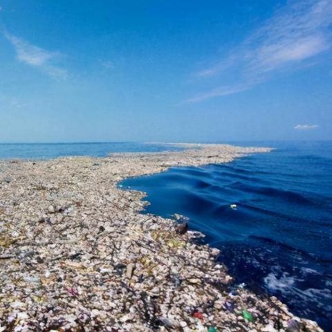 梦想新大陆奇遇攻略：厚颜无耻任务高效完成技巧揭秘