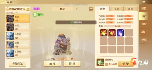 梦想新大陆宠物合成攻略:宝宝合宠技巧揭秘,轻松提升战斗力 梦想新大陆宠物合成攻略:宝宝合宠技巧揭秘,轻松提升战斗力