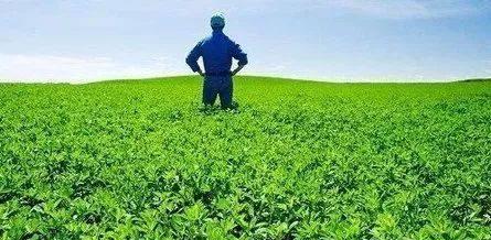 十大热门种田游戏盘点：揭秘最受欢迎的休闲农业体验