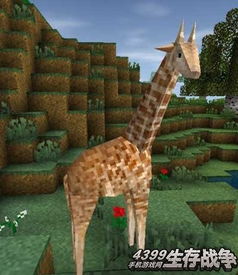 灵猫属性攻略揭秘：掌握灵猫传狸怂怂必胜技巧