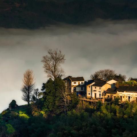 修仙云端性格选择攻略:解锁最佳属性搭配秘籍 修仙云端性格选择攻略:解锁最佳属性搭配秘籍