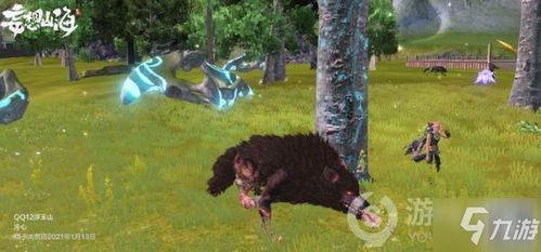 千年虎鲨异兽分布揭秘：探索妄想山海神秘之地