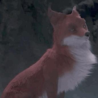 山海灵狐毛皮获取攻略：揭秘高效获取技巧！