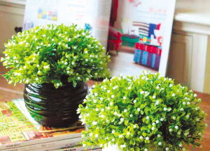 姚黄花束制作攻略:快速掌握妄想山海独特花束制作技巧 姚黄花束制作攻略:快速掌握妄想山海独特花束制作技巧