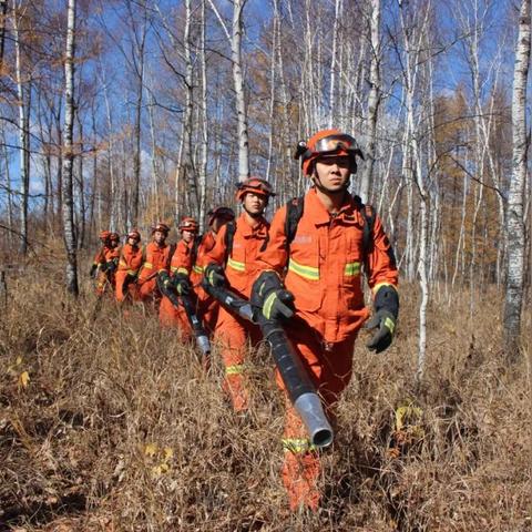 火龙咆哮转盘抽奖全攻略:揭秘手游使命召唤满级仅需多少金币 火龙咆哮转盘抽奖全攻略:揭秘手游使命召唤满级仅需多少金币