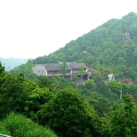 一念逍遥秘境攻略：深度解析副本玩法技巧，轻松通关秘境