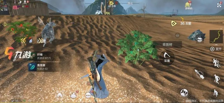 胡荽获取攻略：妄想山海高效采集技巧揭秘