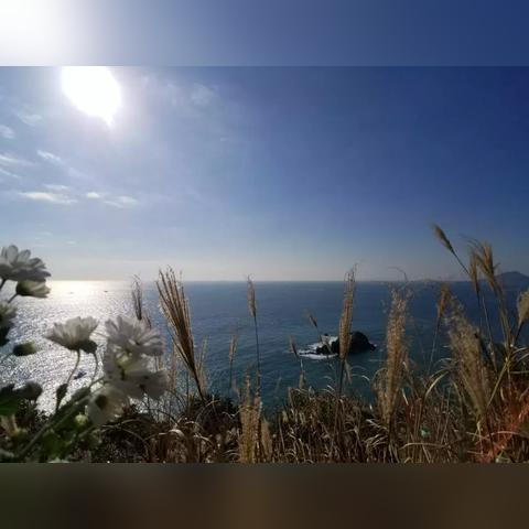 四叶草剧场最强角色揭秘：许愿选谁最佳攻略推荐