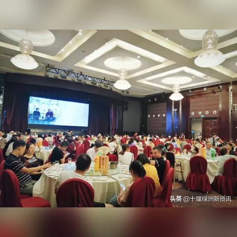 桃源记家宴攻略：解锁神秘用途，提升游戏体验必备技巧