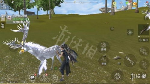 妄想山海斑马异兽捕捉攻略:揭秘高效捕获技巧 妄想山海斑马异兽捕捉攻略:揭秘高效捕获技巧