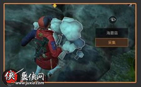 甘瓜采集攻略:妄想山海神秘食材获取地点揭秘 甘瓜采集攻略:妄想山海神秘食材获取地点揭秘