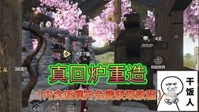 最强种族攻略：妄想山海种族选择指南，揭秘最佳种族搭配技巧