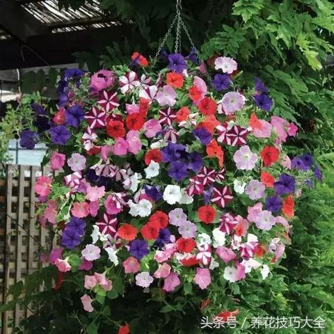 热门恋爱养成游戏盘点：下载量飙升的甜蜜之选推荐