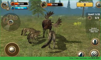 天谕手游野狼精准定位技巧，快速掌握野狼藏身之地攻略