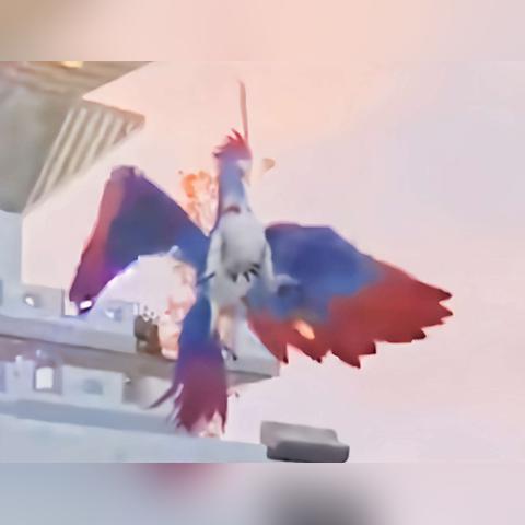 《妄想山海》激活码免费领!海量礼包兑换攻略大揭秘 《妄想山海》激活码免费领!海量礼包兑换攻略大揭秘