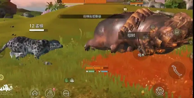 河马刷新揭秘:妄想山海河马分布攻略大公开 河马刷新揭秘:妄想山海河马分布攻略大公开