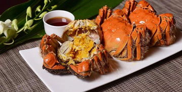 妄想山海毒蛇鱼脍制作攻略：独家食谱大揭秘，快速学会！