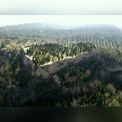 江南百景图龙凤丹青精英卡池深度解析：揭秘区别与独特优势