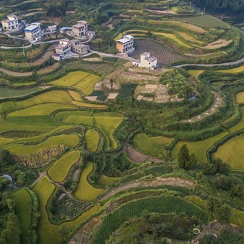 烟雨江湖攻略：高效镇压佛牢，势力任务轻松完成秘籍！