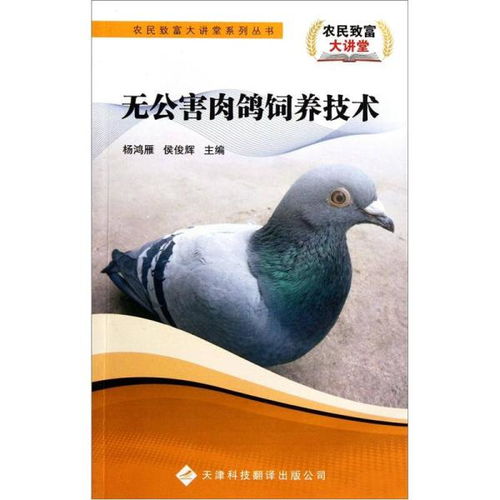 肉鸽球球2.3版高效抠门攻略:轻松逆袭,财富翻倍秘籍! 肉鸽球球2.3版高效抠门攻略:轻松逆袭,财富翻倍秘籍!
