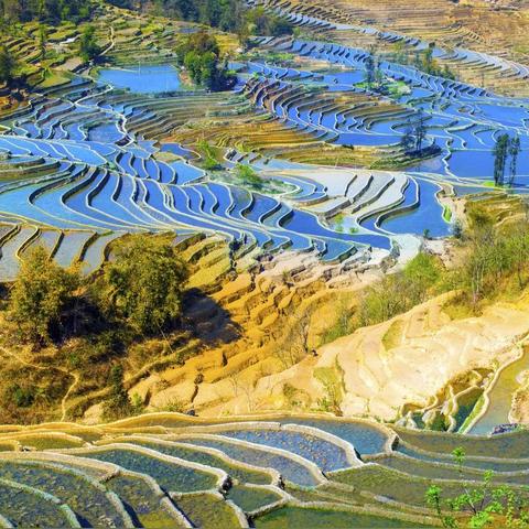 烟雨江湖八卦门攻略:仙真幻境通关秘籍大揭秘 烟雨江湖八卦门攻略:仙真幻境通关秘籍大揭秘