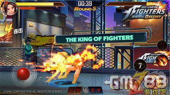 拳皇命运礼包速领攻略，手游CDKEY兑换秘籍一网打尽