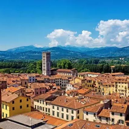 手游《使命召唤》战火小镇最佳跳点攻略：揭秘高效跳跃技巧