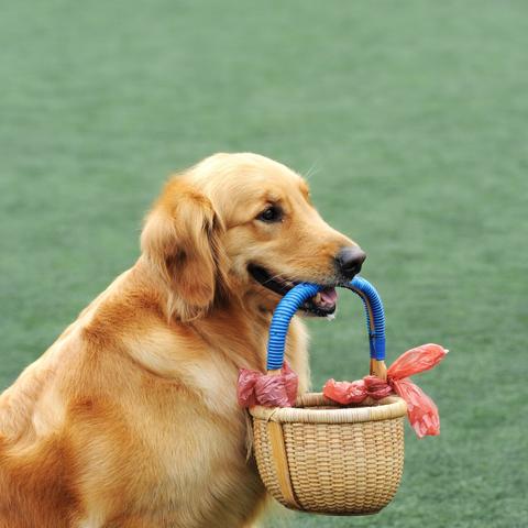 手游使命召唤快速拓展人脉攻略：高效加好友技巧揭秘