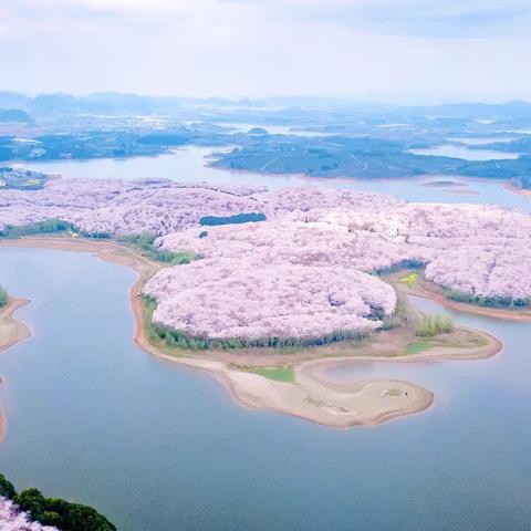 2024年度必玩马拉松游戏盘点：精选推荐，畅享竞技乐趣