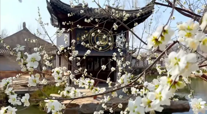 千树梨花建筑背后的江南风情揭秘,体验古建魅力新视角 千树梨花建筑背后的江南风情揭秘,体验古建魅力新视角