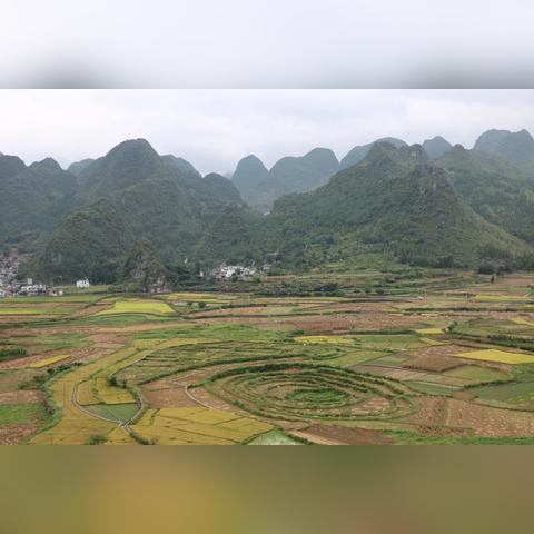 成都八卦门势力攻略：烟雨江湖独家玩法技巧解析