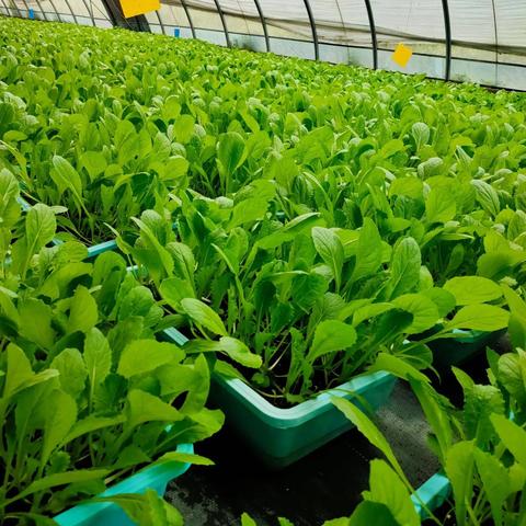 破解高难度挑战，盘点热门难玩游戏，揭秘最佳游戏体验攻略