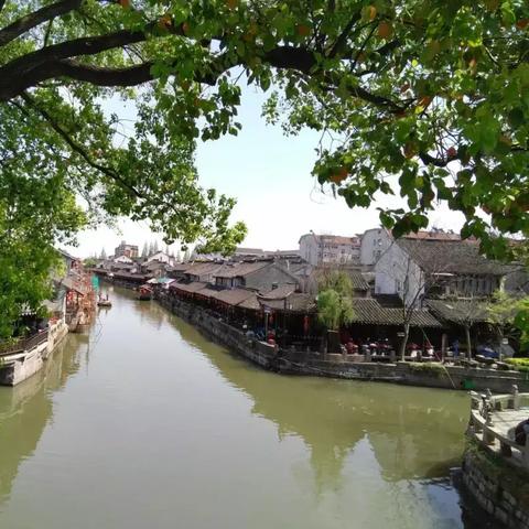 恋爱游戏下载必备！十大精选必玩恋爱游戏推荐，解锁浪漫新体验