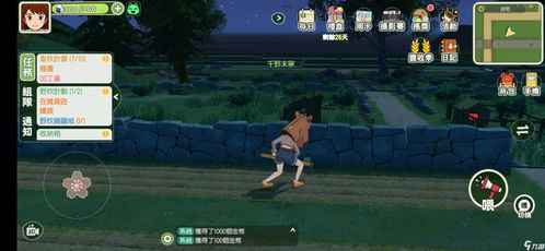 白菜种植攻略：小森生活白菜种子高效存活秘诀大公开