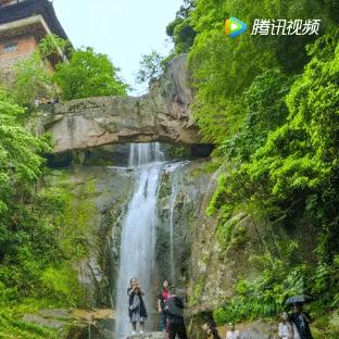 江南百景图珍禽异兽玩法升级,严大人新建筑解锁奇观探险之旅 江南百景图珍禽异兽玩法升级,严大人新建筑解锁奇观探险之旅