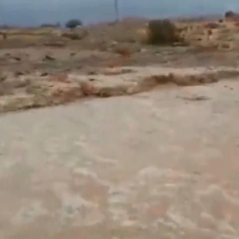 预言山谷快速入门攻略:揭秘光遇独特山谷进入技巧 预言山谷快速入门攻略:揭秘光遇独特山谷进入技巧