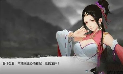 侠客淑芬情缘任务速成攻略：高效技巧解锁秘籍