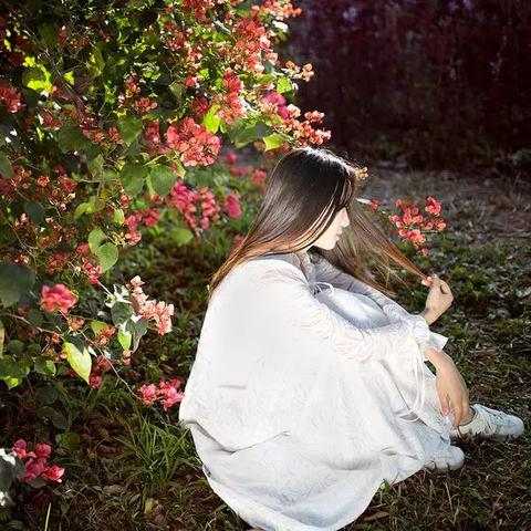 《伊甸园骄傲巧克力》角色技能深度解析：解锁最强属性攻略秘籍