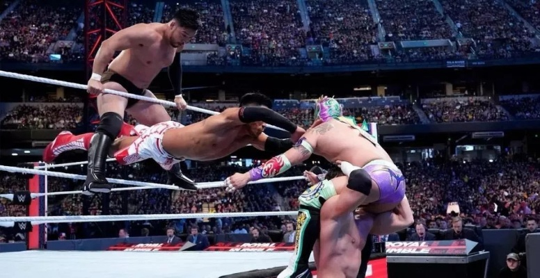 最新摔角游戏盘点：揭秘《摔角游戏大全》热门推荐！