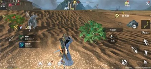 青菩果藏匿攻略：揭秘妄想山海中的神秘果实位置