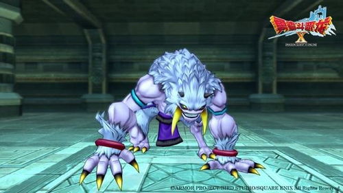 妖精之尾勇者之旅：格雷深度解析，解锁角色潜力新篇章